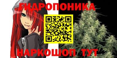 скорость Лесосибирск
