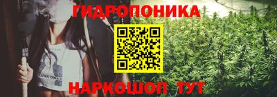 скорость Лесосибирск