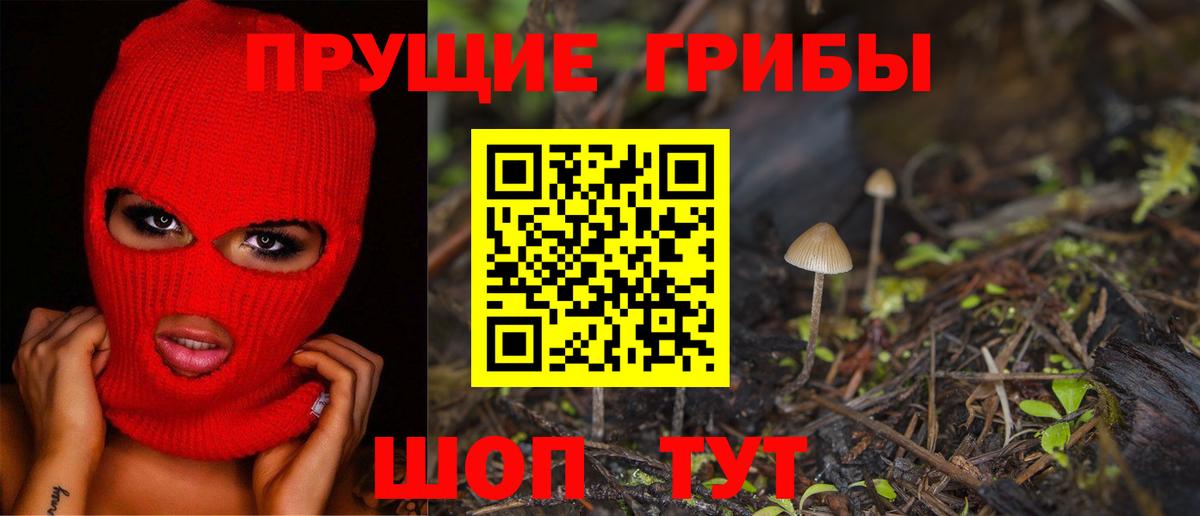 Каменск-Шахтинский  Псилоцибиновые грибы GOLDEN TEACHER  Вход с VPN  Галлюциногенные грибы мухоморы 